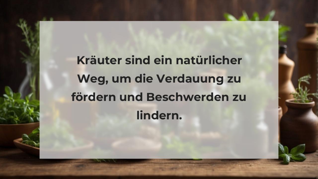 Kräuter sind ein natürlicher Weg, um die Verdauung zu fördern und Beschwerden zu lindern.