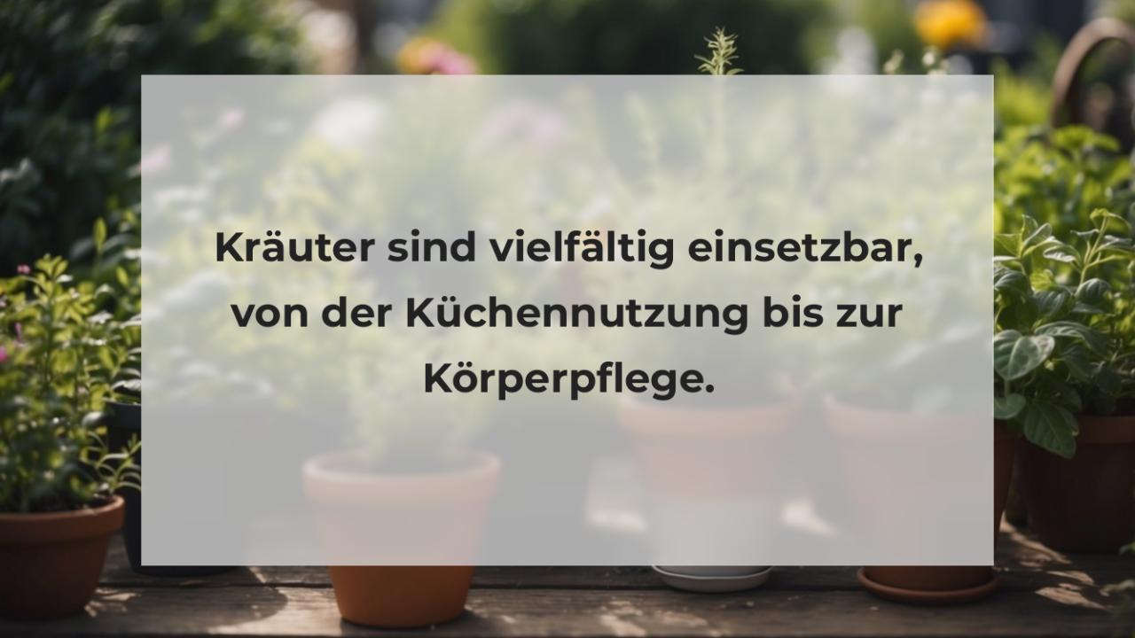 Kräuter sind vielfältig einsetzbar, von der Küchennutzung bis zur Körperpflege.