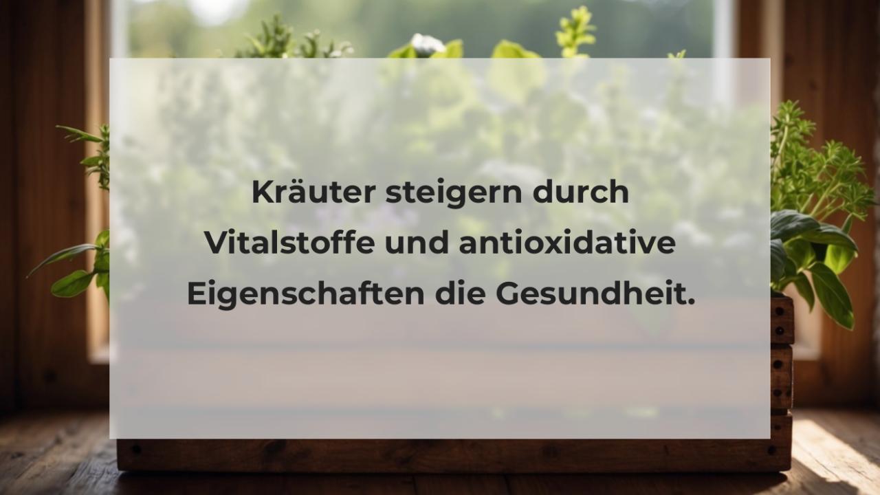 Kräuter steigern durch Vitalstoffe und antioxidative Eigenschaften die Gesundheit.