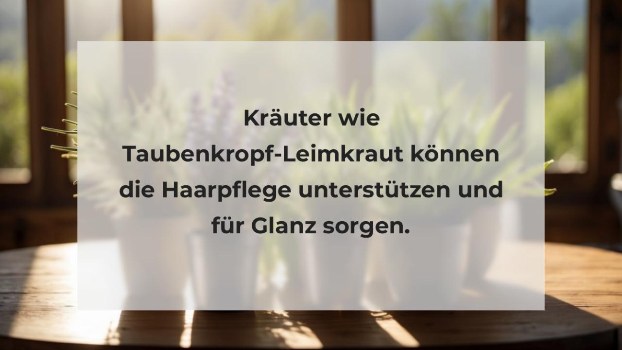 Kräuter wie Taubenkropf-Leimkraut können die Haarpflege unterstützen und für Glanz sorgen.