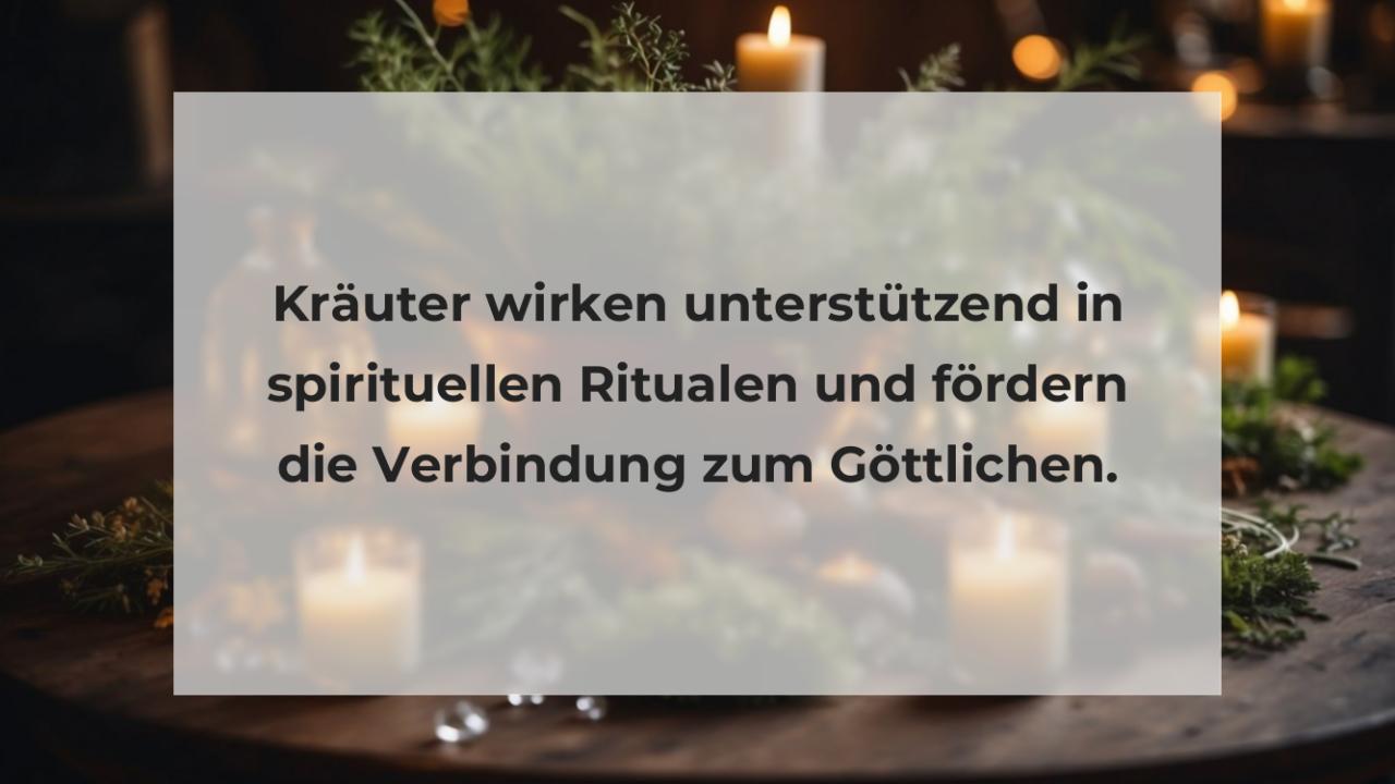 Kräuter wirken unterstützend in spirituellen Ritualen und fördern die Verbindung zum Göttlichen.