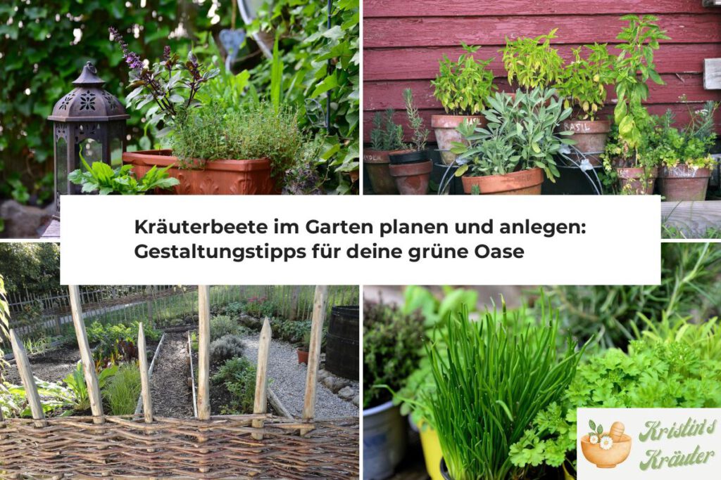 Kräuterbeete im Garten planen und anlegen