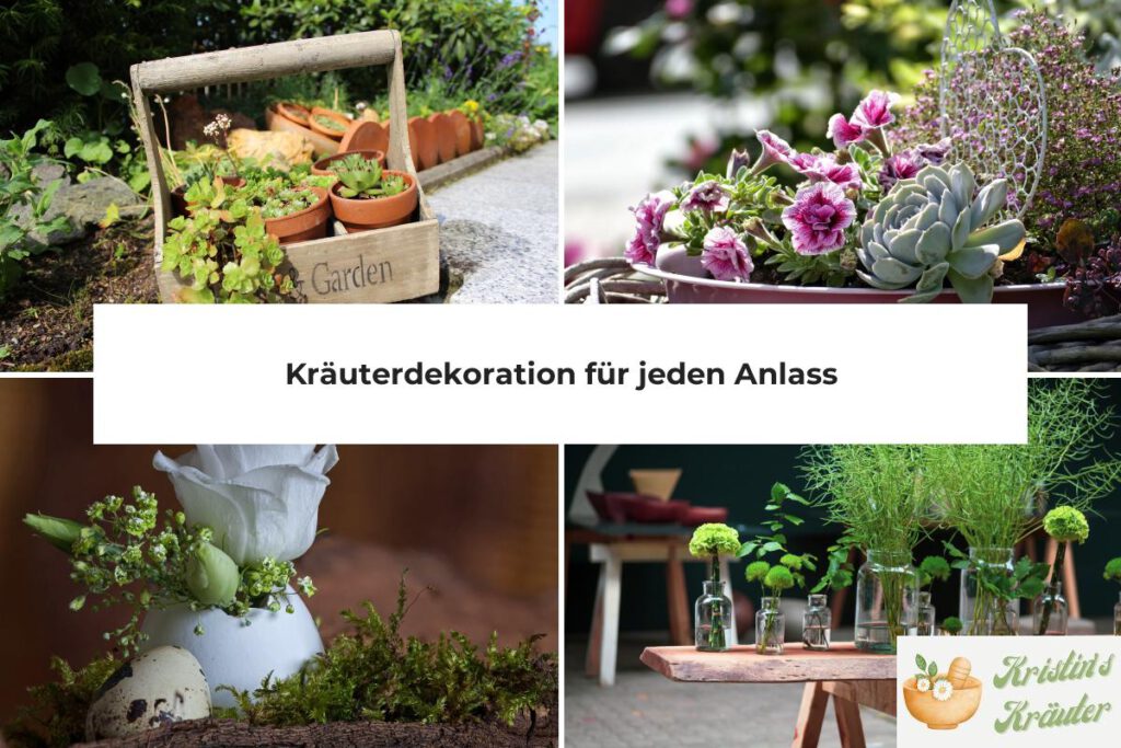 Kräuterdekoration für jeden Anlass