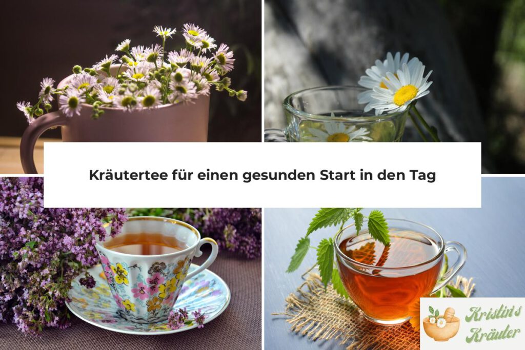 Kräutertee Start in den Tag