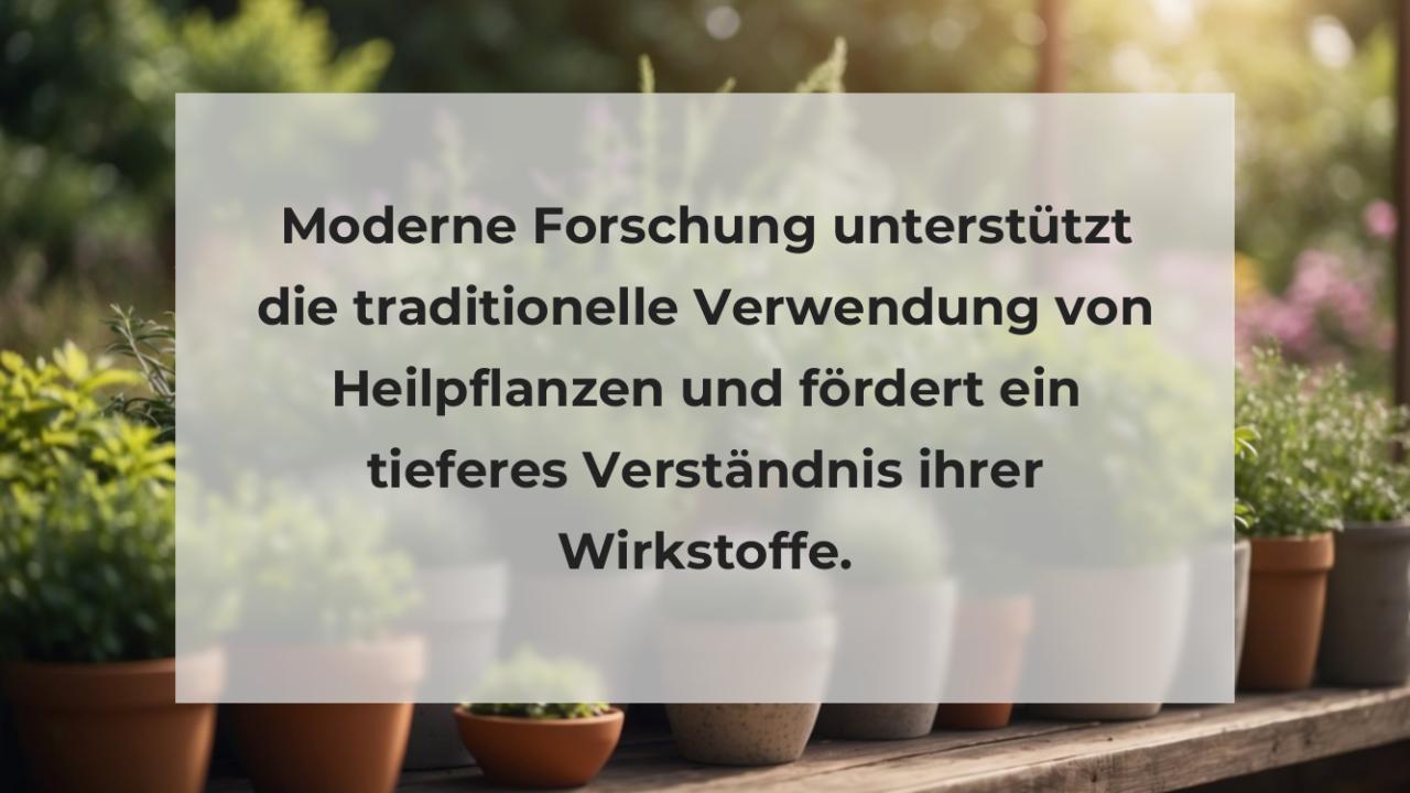 Moderne Forschung unterstützt die traditionelle Verwendung von Heilpflanzen und fördert ein tieferes Verständnis ihrer Wirkstoffe.