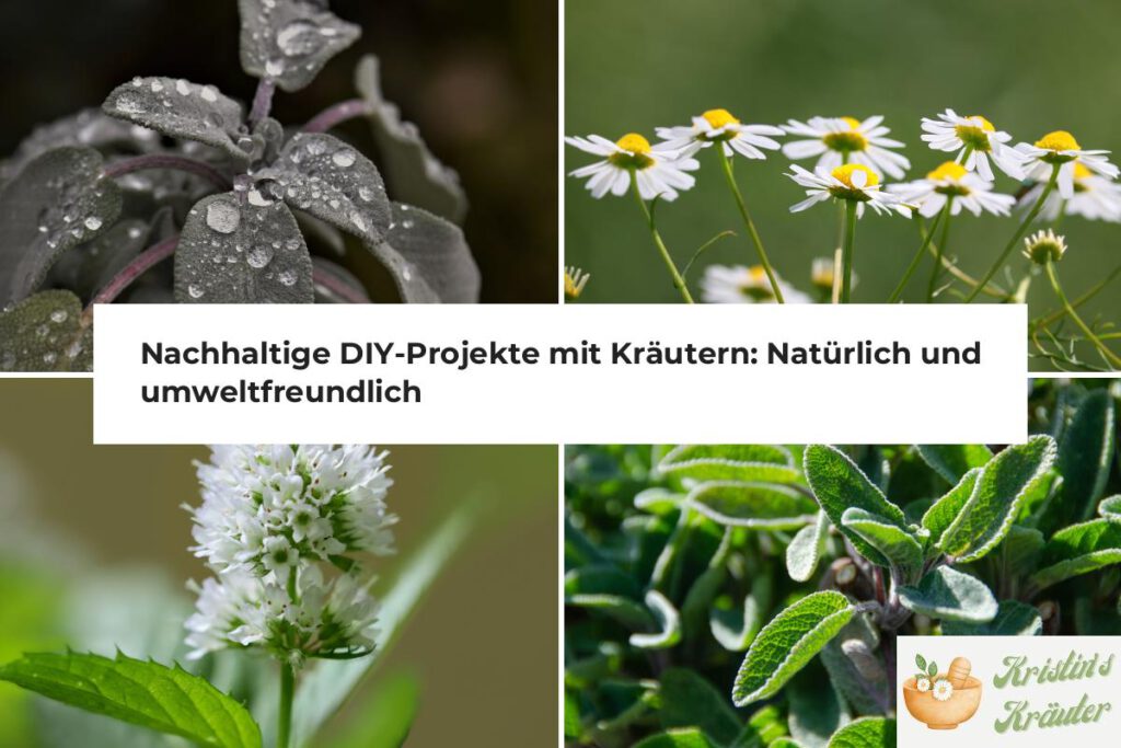 Nachhaltige DIY-Projekte mit Kräutern