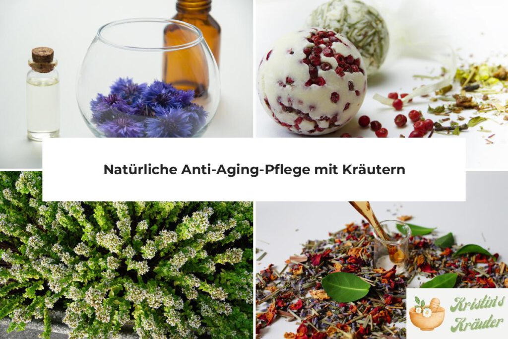 natürliche anti-aging-pflege mit kräutern