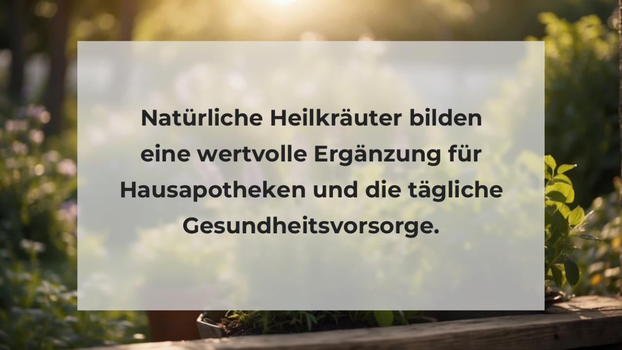 Natürliche Heilkräuter bilden eine wertvolle Ergänzung für Hausapotheken und die tägliche Gesundheitsvorsorge.