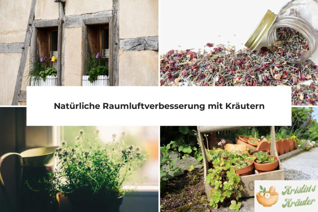 Natürliche Raumluftverbesserung