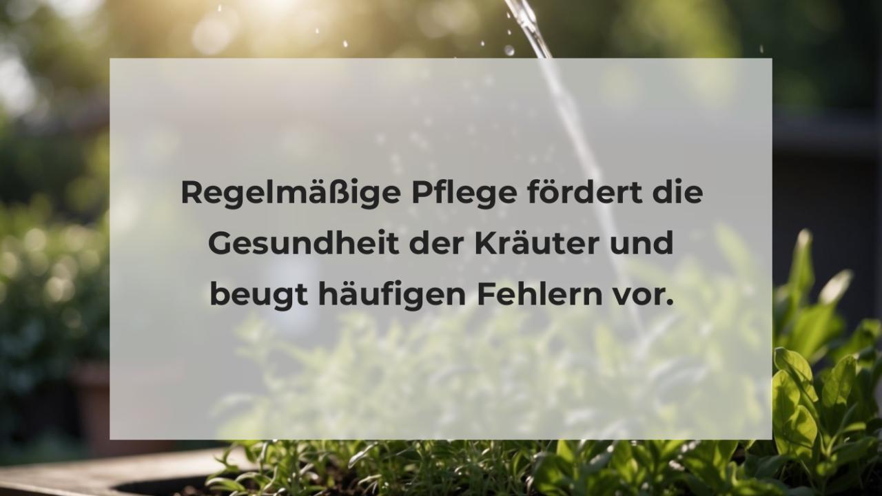 Regelmäßige Pflege fördert die Gesundheit der Kräuter und beugt häufigen Fehlern vor.