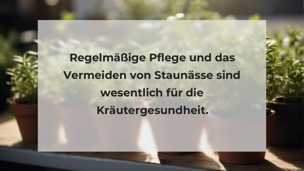 Regelmäßige Pflege und das Vermeiden von Staunässe sind wesentlich für die Kräutergesundheit.