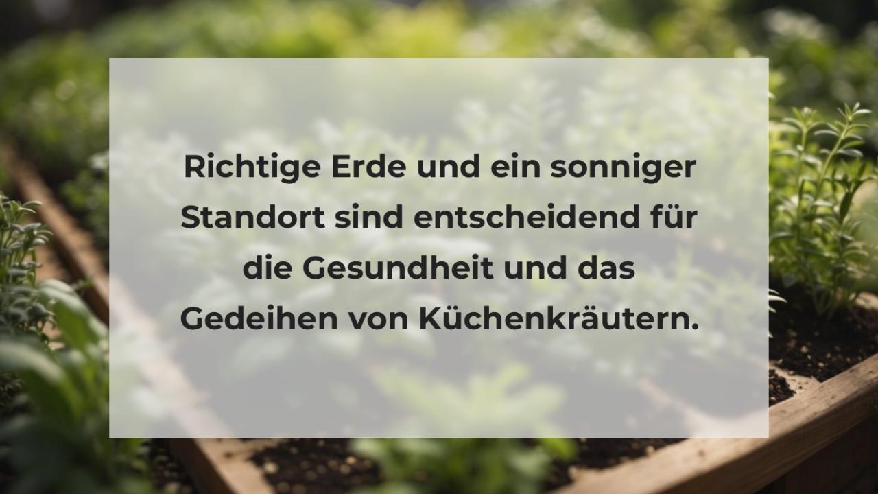 Richtige Erde und ein sonniger Standort sind entscheidend für die Gesundheit und das Gedeihen von Küchenkräutern.