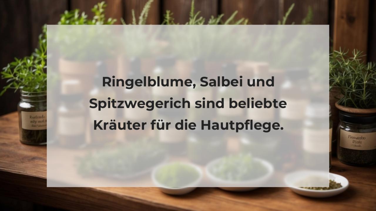 Ringelblume, Salbei und Spitzwegerich sind beliebte Kräuter für die Hautpflege.