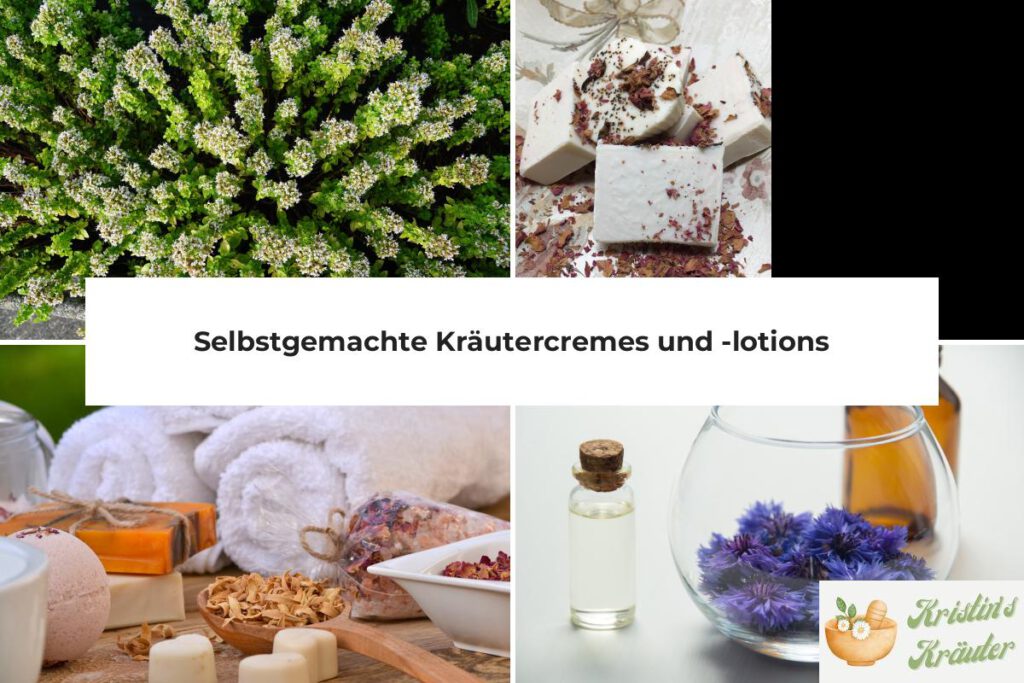 selbstgemachte kräutercremes und lotions