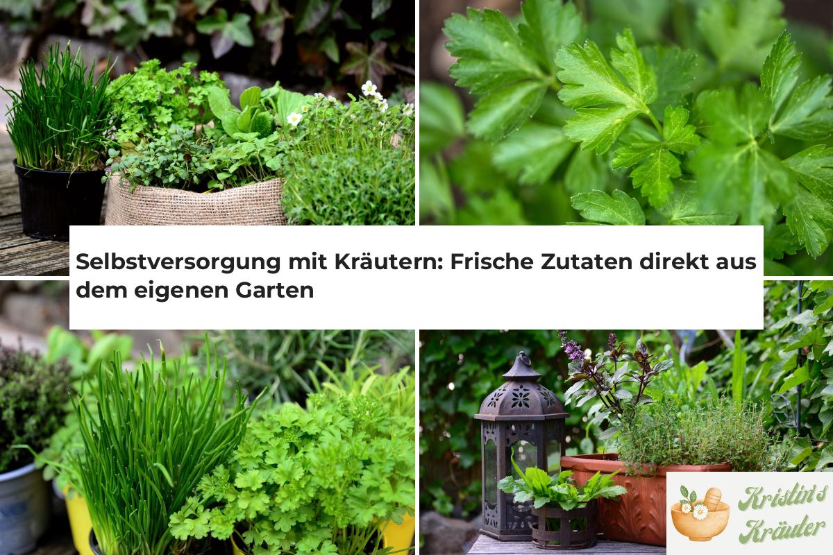 mit Kräutern Frische Zutaten direkt aus dem eigenen