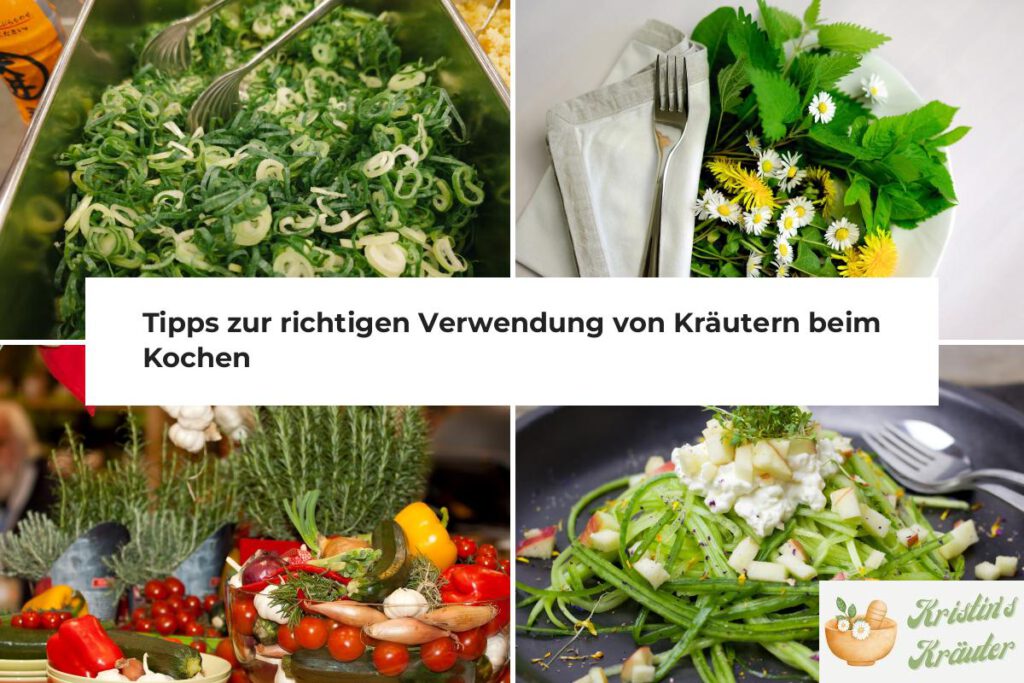 Kochen richtige Verwendung von Kräutern