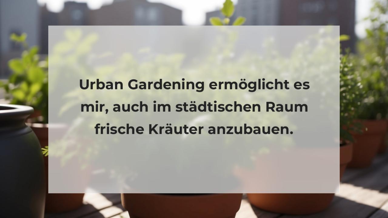 Urban Gardening ermöglicht es mir, auch im städtischen Raum frische Kräuter anzubauen.