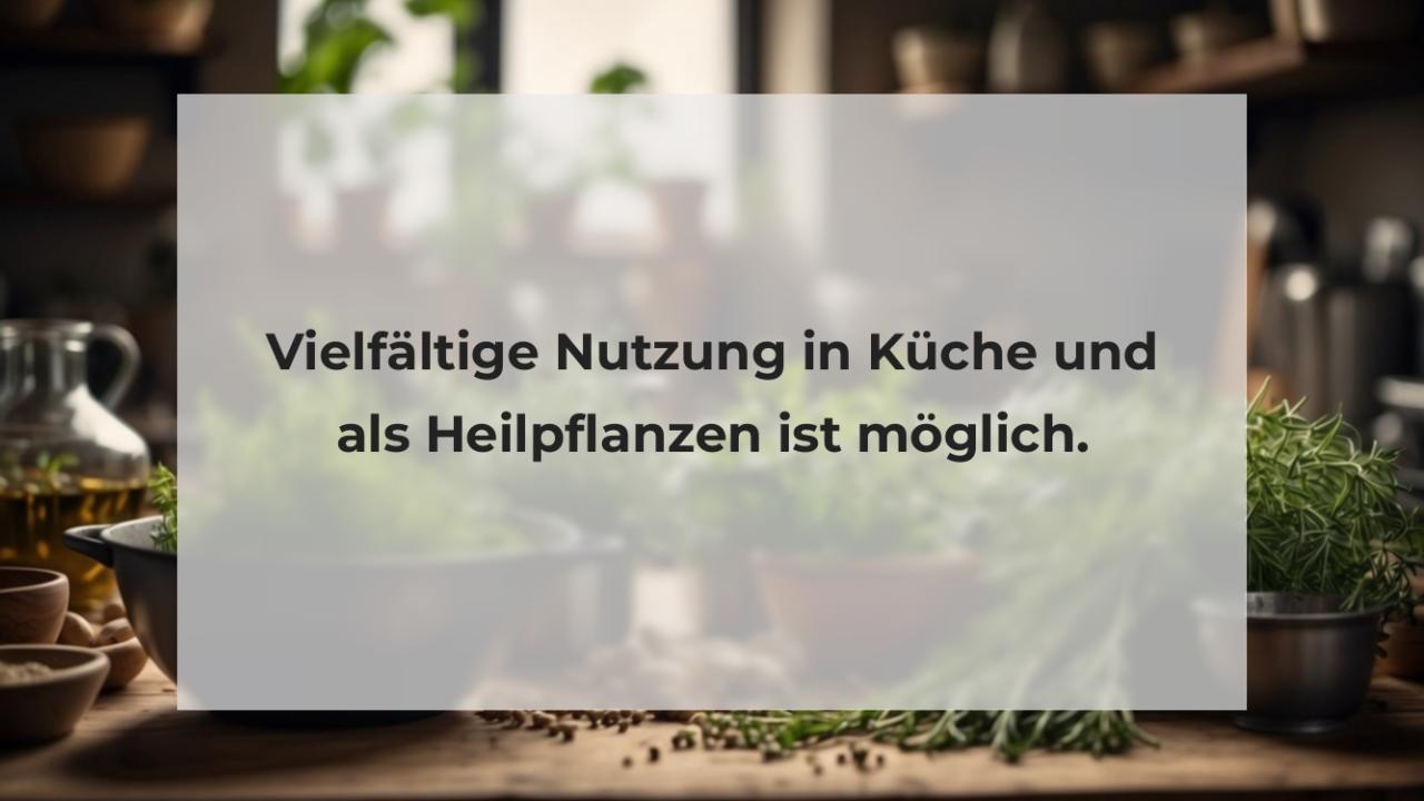 Vielfältige Nutzung in Küche und als Heilpflanzen ist möglich.