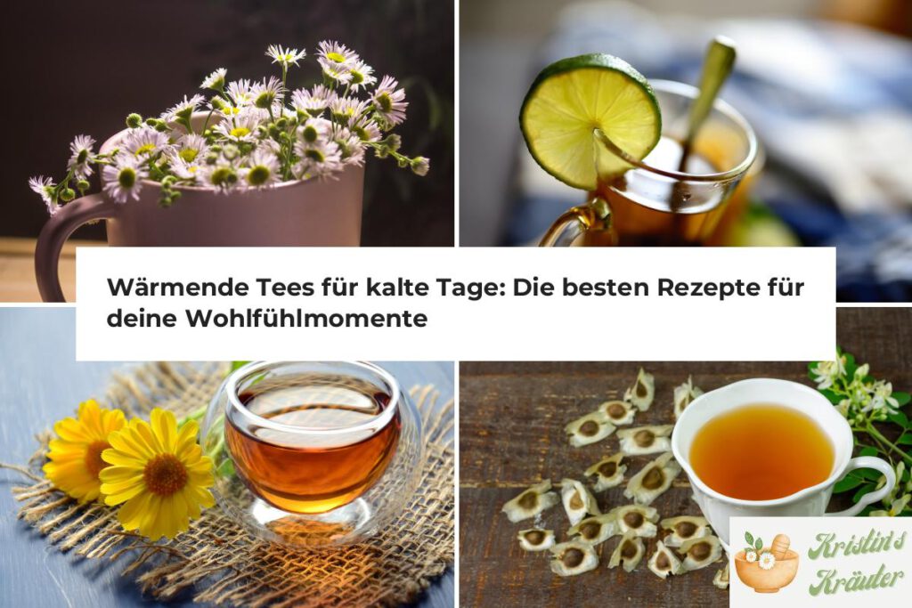 Wärmende Tees kalte Tage