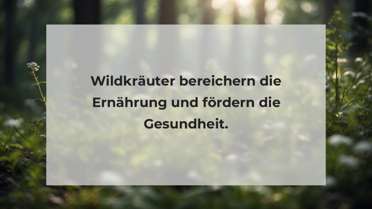 Wildkräuter bereichern die Ernährung und fördern die Gesundheit.